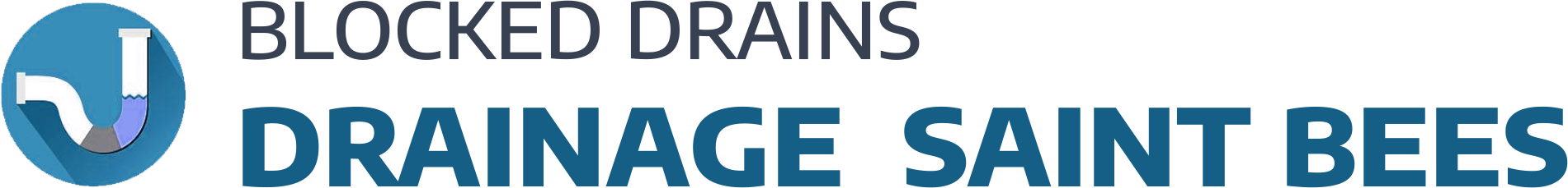 website logo